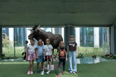 64393ce8-caa7-4938-b926-4d743f16ca63