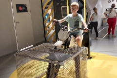 bbc631df-7d99-4dcd-bab3-fac5a28a40e2