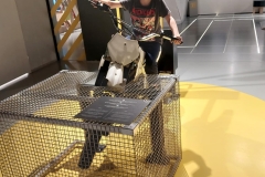 c1448f3f-855c-4fed-aa6c-e1de11af3e1e