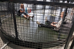 fac29d5b-ce10-494f-9ad9-ef459373ed88