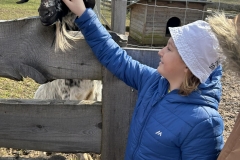 485229a7-50e7-4af0-b8c2-aa396f8b4184