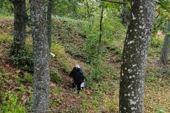 0cd1b3aa-ece7-4469-a957-90b43f4b7925