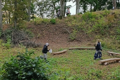 98be4473-ecf3-4793-bbf9-46b192af7d20