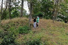 b40656f6-6217-4e16-9f54-87f341c8bc95