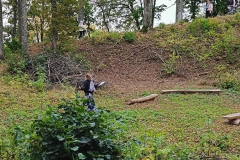 beefb56d-7417-43f3-9056-0bfcb0d9a6aa