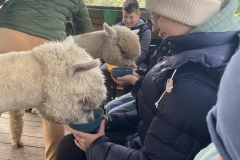 d146068b-f187-4b8c-8aad-2b8956e81b3a