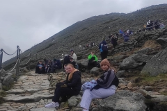 0038497b-0aff-4156-b5de-527b0c8570e6