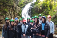 072c2995-6fdb-495f-b556-b3e351842786