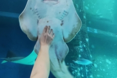 29230dbc-fae5-4bd6-8e24-a52a5da657b4