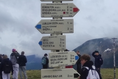 295d0ebe-8f39-45d9-a3da-838af99aeaf1