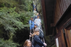 c20538c6-c926-4742-a3df-6cafb2a2aba7