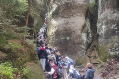 cf95c285-f3fe-4317-96ca-98c3f4ed4068