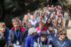 d2df8bfd-df41-42c9-8900-ee08c7a44d22