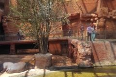 f270136b-f8df-4346-9360-b9ac67a29b9e