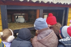 IMG20231122110141