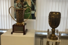 18656b2e-1012-479b-8e3e-d8ea86fc4357