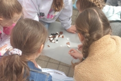 3f5100dc-65ac-42dc-a36a-74b5ca4854bf