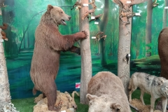 7a8363c3-a86b-416f-b001-3e8496030876