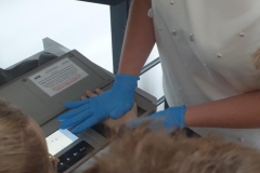 b51d5d28-4c86-4c4d-b6c2-b4428166d38f