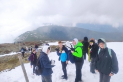 5654706a-792b-427e-bc13-fe6413c1724d