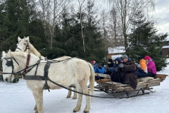 70d33e26-05b9-4a7b-938e-068336a7c3b7