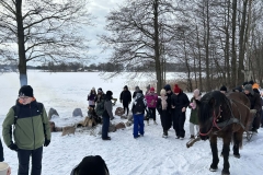 c422d10c-6c79-4aaf-a63e-f912f2dd0942