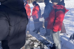 d3ad703f-f61a-4501-961d-16fcde6f9719