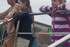 IMG20240606102648