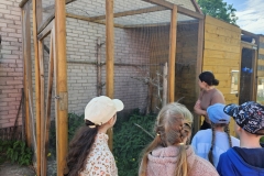20260526_084901